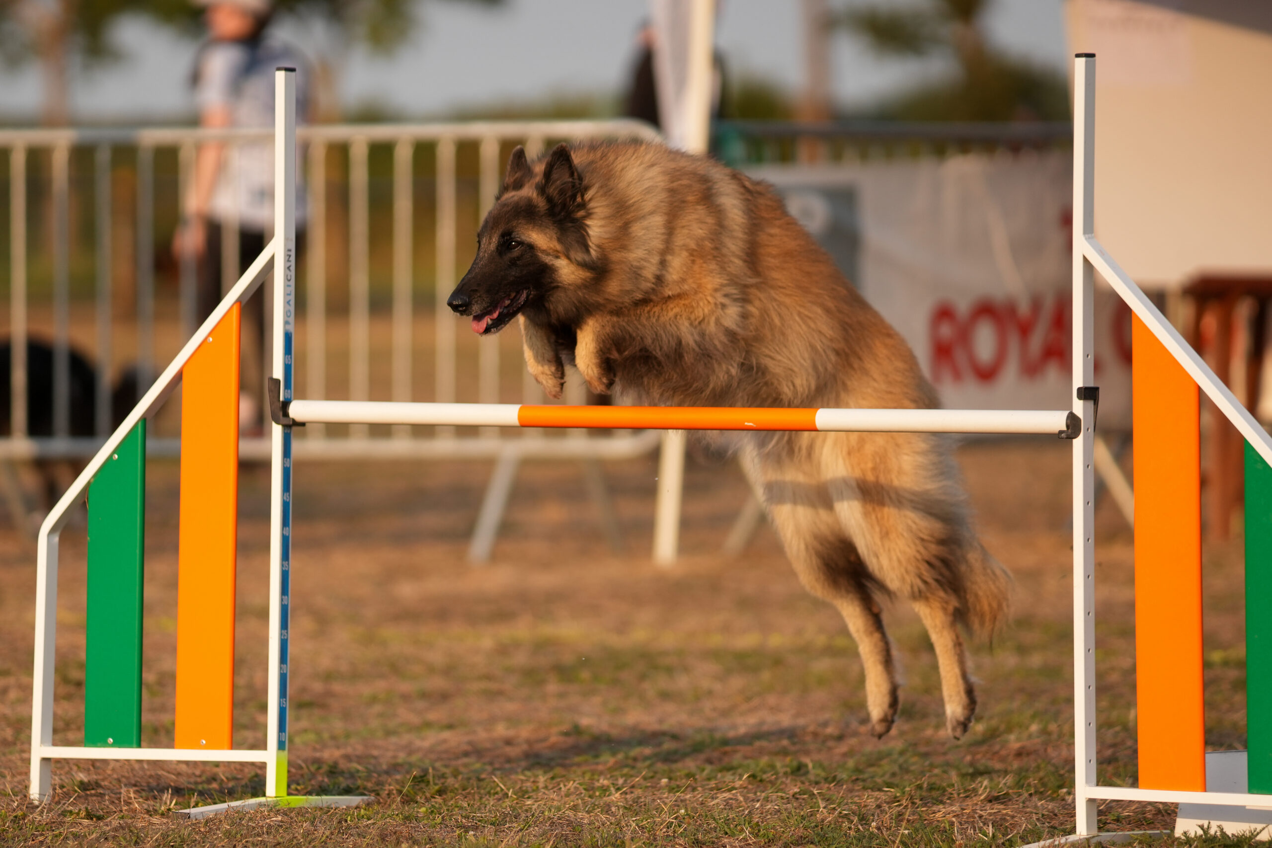 Stage Agility initiation et débutant
